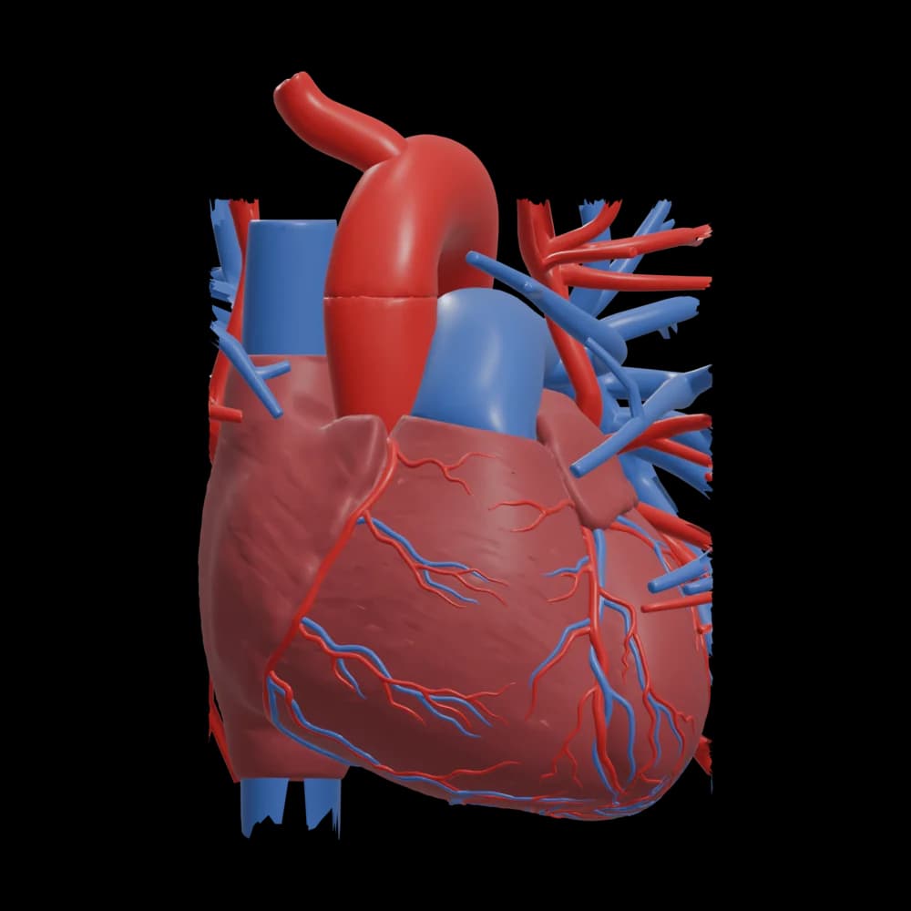 Рендер 3D-модели в ракурсе рис. 701